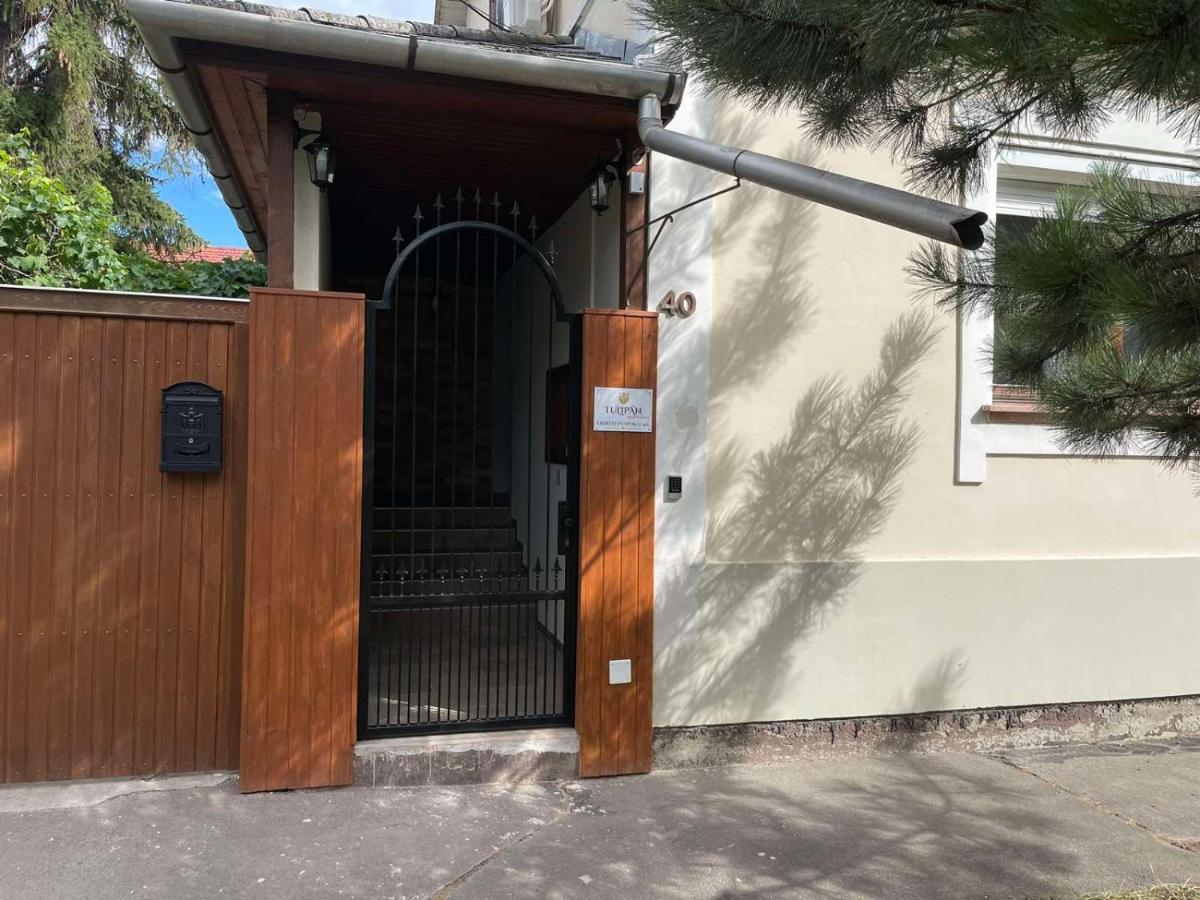 Tulipan Apartman Makó Exterior foto